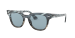 METEOR