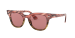 METEOR