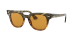 METEOR