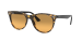WAYFARER II
