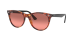 WAYFARER II