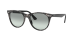 WAYFARER II