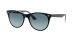 WAYFARER II