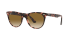 WAYFARER II FLECK