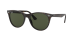 WAYFARER II