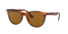 WAYFARER II