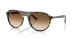 Acetate Unisex Sunglass