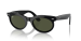 WAYFARER OVAL