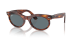 WAYFARER OVAL