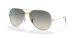 AVIATOR FULL COLOR LEGEND