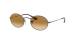OVAL FLAT LENSES