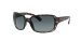 RB4069