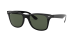 WAYFARER LITEFORCE
