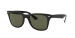 WAYFARER LITEFORCE