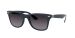 WAYFARER LITEFORCE