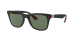 RB4195M SCUDERIA FERRARI COLLECTION
