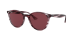 RB4305