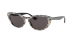 NINA
