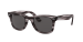 WAYFARER EASE
