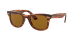 WAYFARER EASE