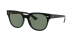 BLAZE METEOR