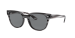 BLAZE METEOR