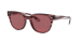 BLAZE METEOR
