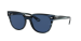 BLAZE METEOR