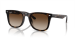 INJECTED UNISEX SUNGLASS