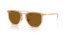 Injected Unisex Sunglass