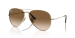 AVIATOR TITANIUM