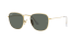 FRANK TITANIUM