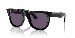 WAYFARER REVERSE