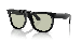 WAYFARER REVERSE