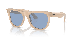 WAYFARER REVERSE