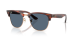 Clubmaster Reverse