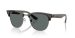 Clubmaster Reverse