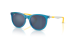 Injected Unisex Sunglass