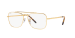 New Caravan Optics