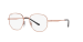 RB3682 OPTICS