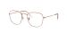 FRANK OPTICS