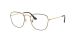 FRANK OPTICS
