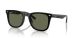 Injected Unisex Sunglass