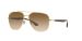 Ray-Ban Sunglasses | Arista Sunglasses ( 0RB3683 | Square | Brown Frame  | Brown Lens )