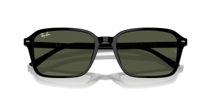 Buy Ray-Ban Raimond Sunglass in Black Frame