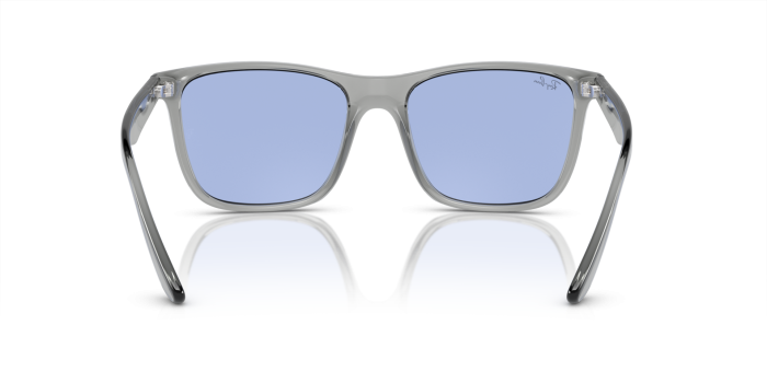 Ray Ban KILIANE BIO-BASED KEIJU 54□21 Ray Ban KILIANE BIO-BASED KEIJU 54□21 Ray-Ban RB4395 Kiliane Bio