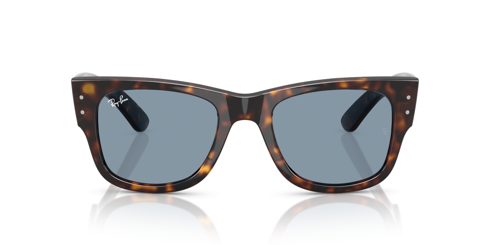 0RB0840S90256P21shadfr