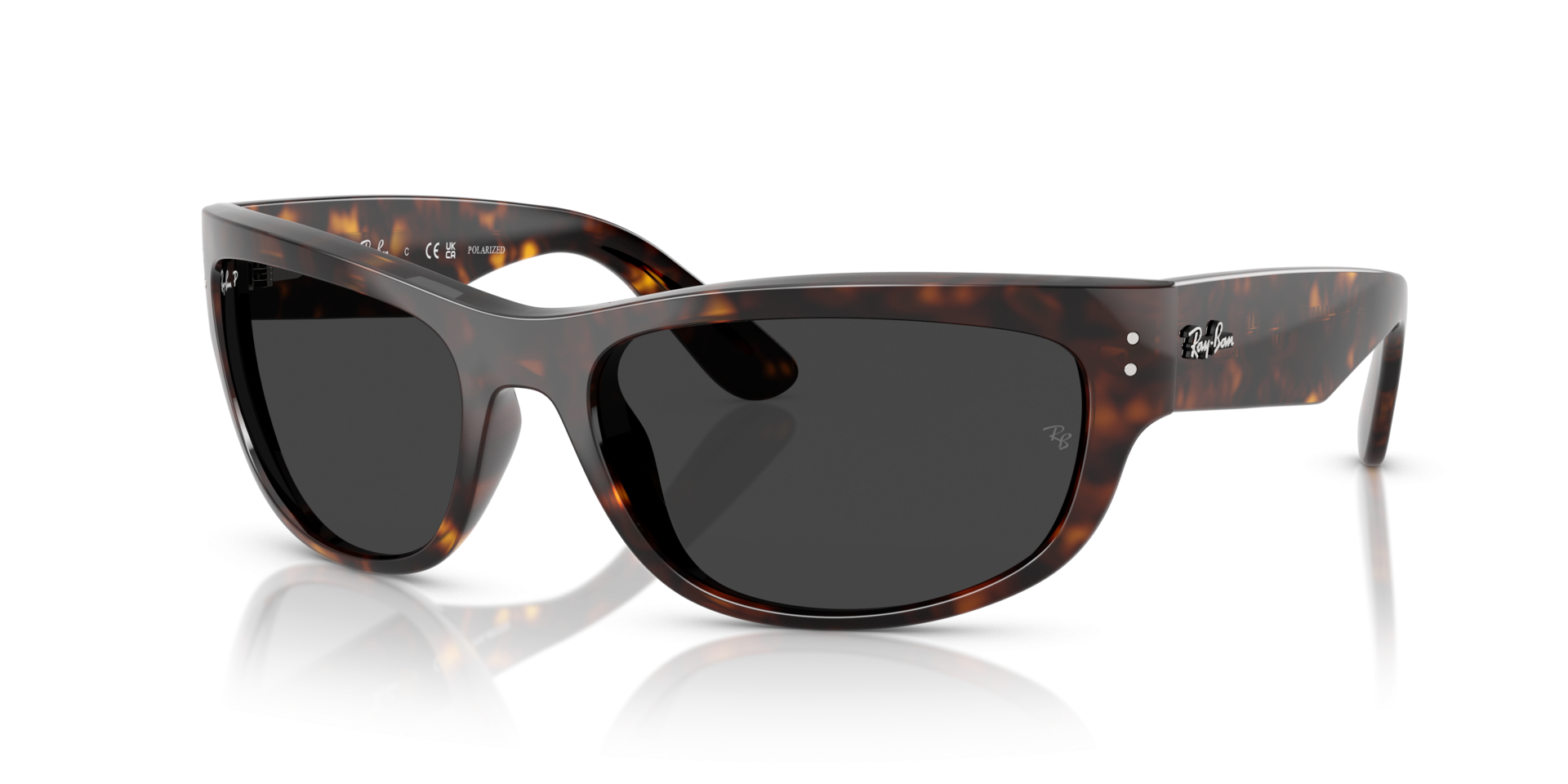 0RB228990248P21_1