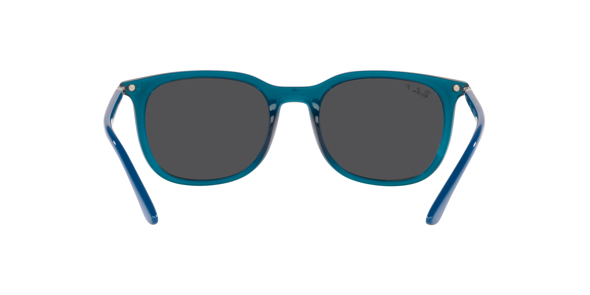 INJECTED UNISEX SUNGLASS