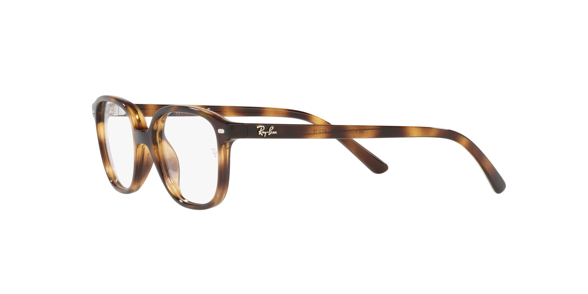 Leonard Optics Kids